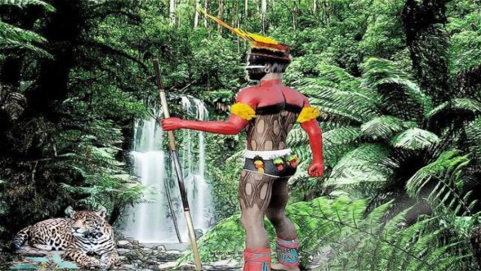 No Brasil a Manifestação Indígena Se Iniciaria De Maneira Mais Organizada Apenas Na Década De 70
